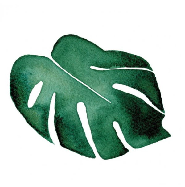 Home Junkie - Monstera by The Clay Play